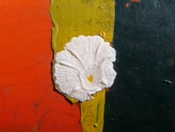 p1070418