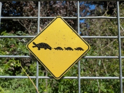 pxl20260417210255694