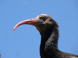 p1190262