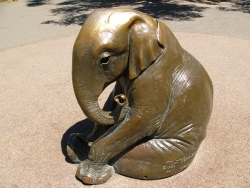 p1190270