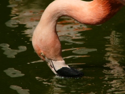 p1190308