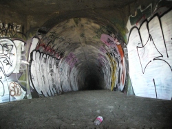 p1190325
