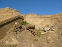 p1190366