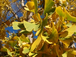 p1150692