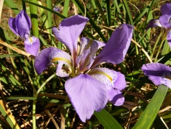 p1150719