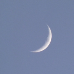 p2320183c