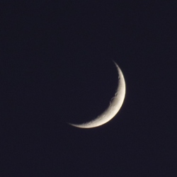 p2320184c