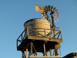 p2020973