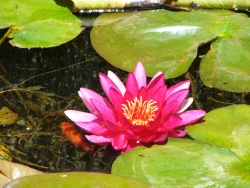 p1000500