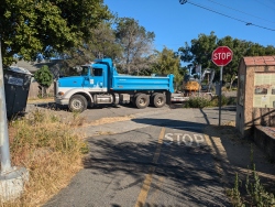 pxl20240618010627937