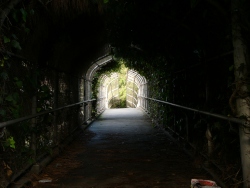 previous