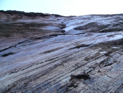 p1150319