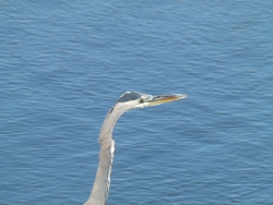 p2370307