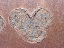 mvc-6115