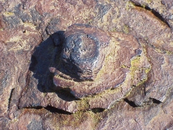 mvc-6116