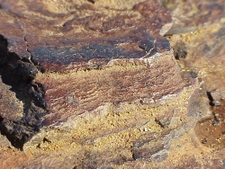 mvc-6117