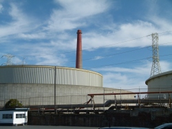 p2080884