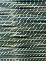 p2050393rn