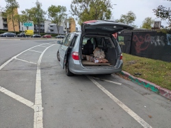 pxl20260214220310309