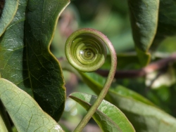 pxl20260218212021717