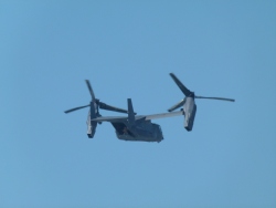 p2370624
