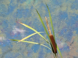 p1010387