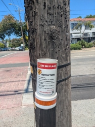 pxl20260614200728613