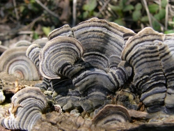 p1090878
