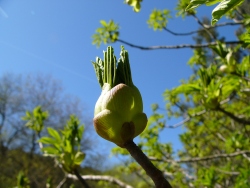 p1090884