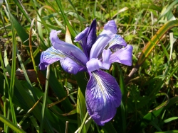 p1250026