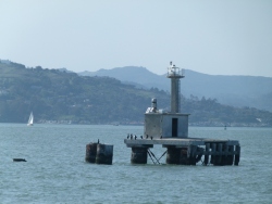 p2370706