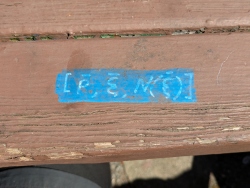 pxl20250318212253076