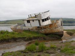 p1100671