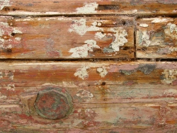 p1100676