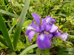 p1100683