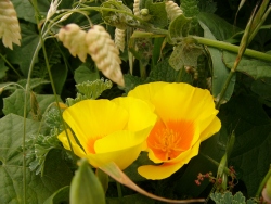 p1100687