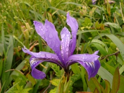 p1100688