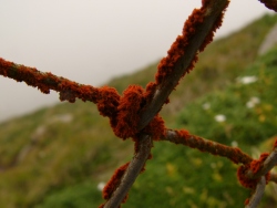 p1100691