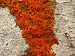 p1100695