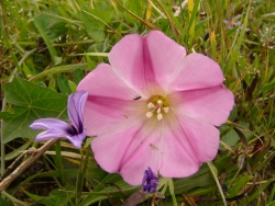 p1100703