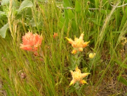 p1100707