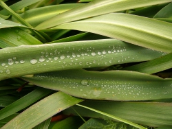 p1100719