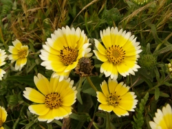 p1100730