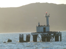 p2330634