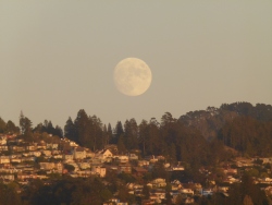 p2330636