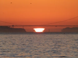 p2340891