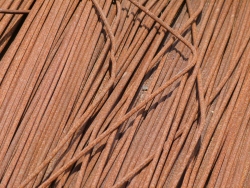 p2210154