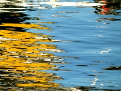p2050421n