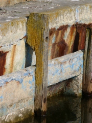 p1090223r
