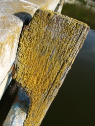 p1090224r